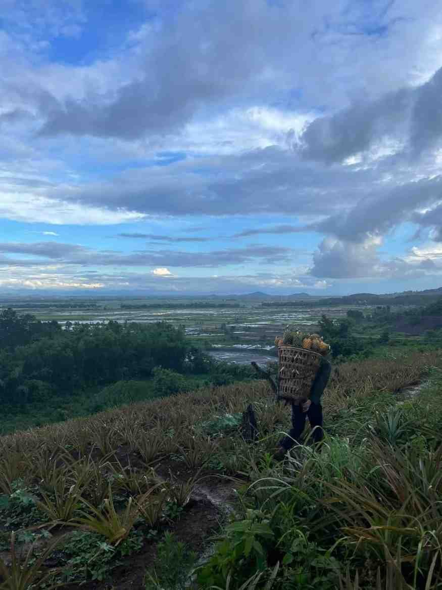 The Land